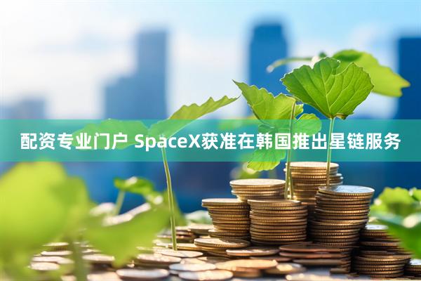 配资专业门户 SpaceX获准在韩国推出星链服务